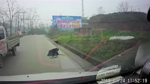 行车监控 遇到这种人直接走就行了,敢上马路砸车就敢打人