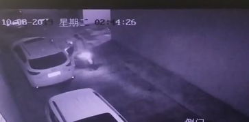 肇庆惊现刮车狂魔,多辆小车遭到划花,监控拍下作案全过程.....