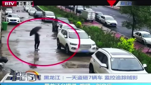 黑龙江 一天盗砸7辆车 监控追踪贼影