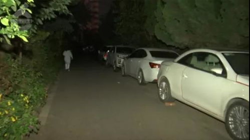 深夜8辆车被划花 看到监控的瞬间,昆明这个小区业主 炸 了