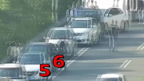货车翻车冲出隧道,随后停下10辆车,监控拍下感人一幕