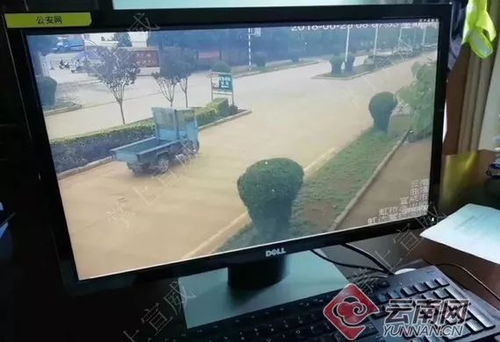 云南一名环卫工人被撞身亡 肇事司机逃逸1天后抓获
