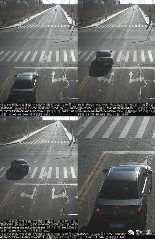 二连浩特市交管部门曝光1月15日监控抓拍车辆违章行为